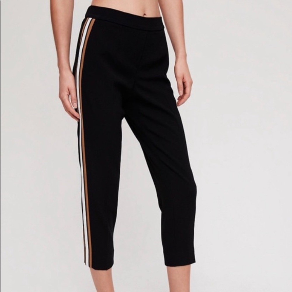 Aritzia Babaton Conan Pant